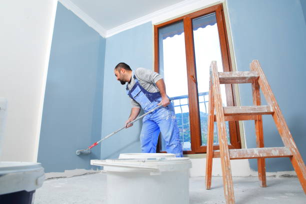 Best Black Mold Removal  in Venersborg, WA