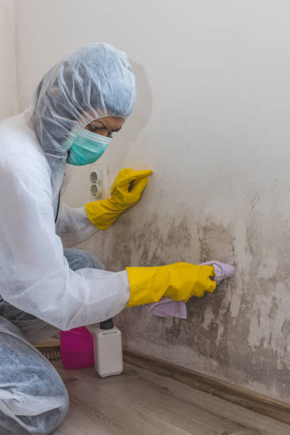 Best Dehumidification Services  in Venersborg, WA