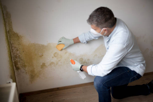 Best Residential Mold Inspection & Testing  in Venersborg, WA