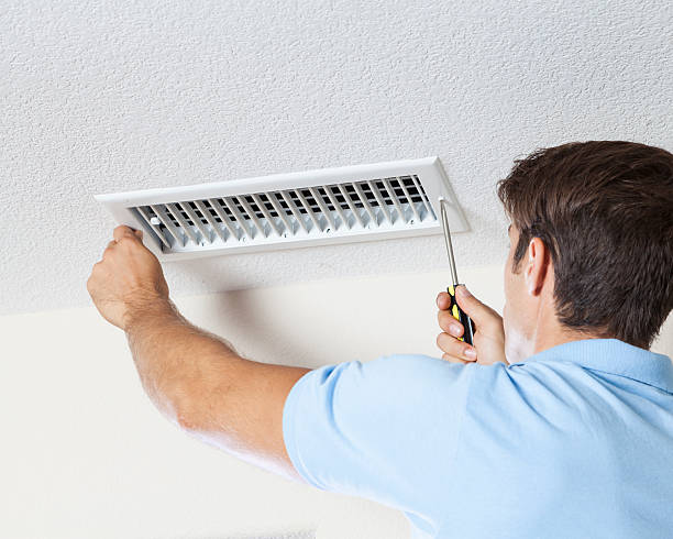 Best Industrial Mold Remediation  in Venersborg, WA