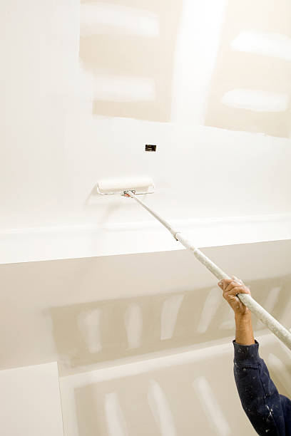Best Emergency Mold Remediation  in Venersborg, WA