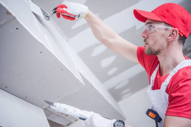 Best Basement Mold Removal  in Venersborg, WA